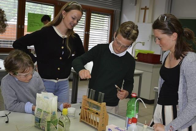 Samenverkauf, Bücherbasar und Duelle am Schachbrett