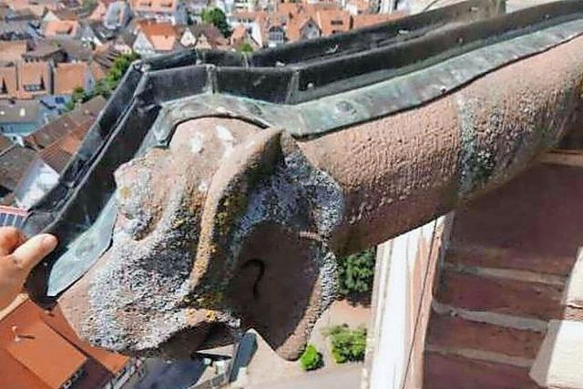 St. Peter in Endingen: Sanierung, bevor der Putz von der Decke fllt