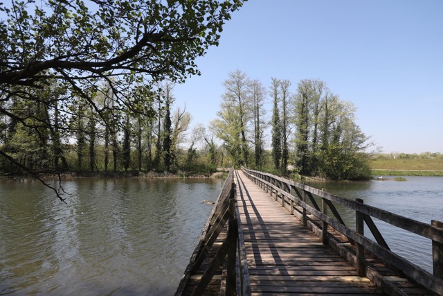 Der Elzsteg in Wittenweier ist immer noch gesperrt. | Foto: Christoph Breithaupt Der Elzsteg in Wittenweier ist immer noch gesperrt. | Foto: Christoph Breithaupt