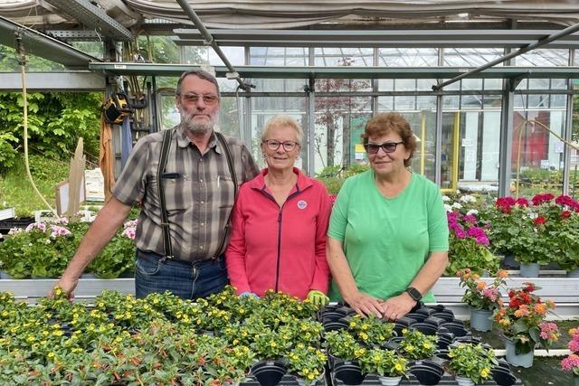 Welche Blumen machen Bienen glcklich?