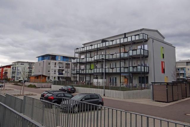 IG Bau fordert im Ortenaukreis neue Standards fr gnstigeres Bauen