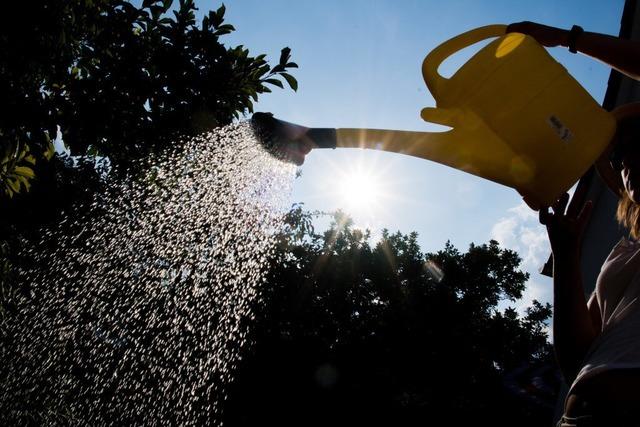 Brunnenwasser unter der Lupe: Physiker untersucht Proben aus dem Kreis Breisgau-Hochschwarzwald