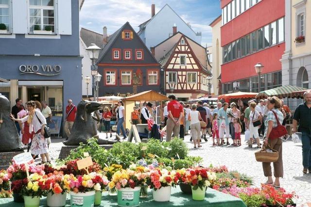 Wochenmarkt Offenburg: Bauarbeiten in der Steinstrae erschweren Marktstandsuche