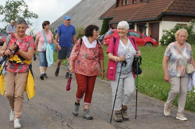 Helfer meistern den Rekordandrang bei den Wandertagen in Eisenbach souvern
