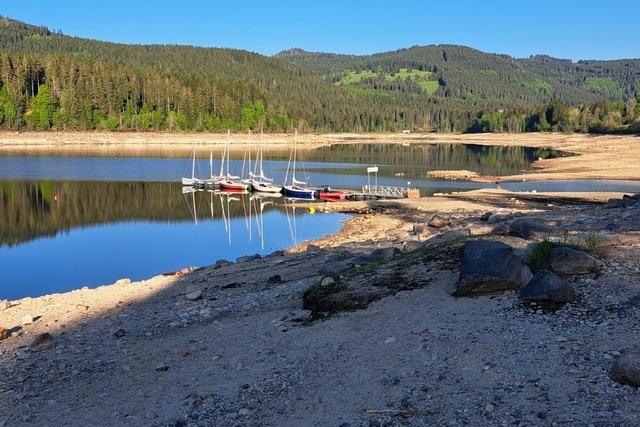 Badegste haben Munition im Schluchsee entdeckt