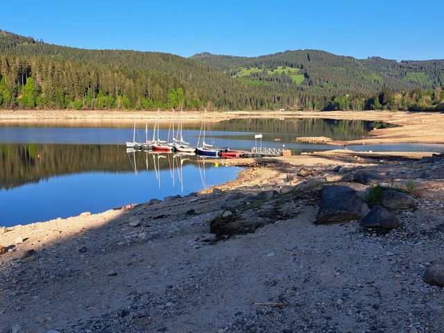 Der geringe Wasserpegel des Schluchsees fördert Munition zu Tage. | Foto: Karl Heidegger Der geringe Wasserpegel des Schluchsees fördert Munition zu Tage. | Foto: Karl Heidegger