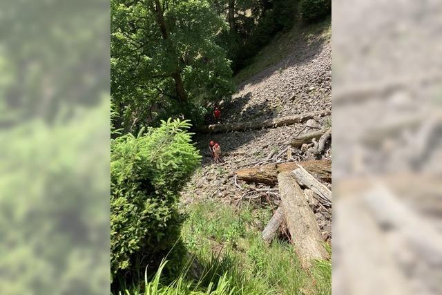 Wanderer bei Breitnau aus Gerllfeld gerettet