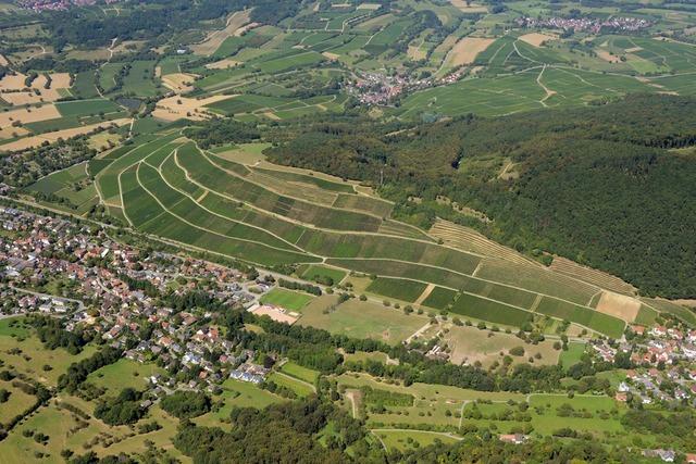 Winzer stellen Mllheims Weinlagen vor – mit Proben direkt am Berg