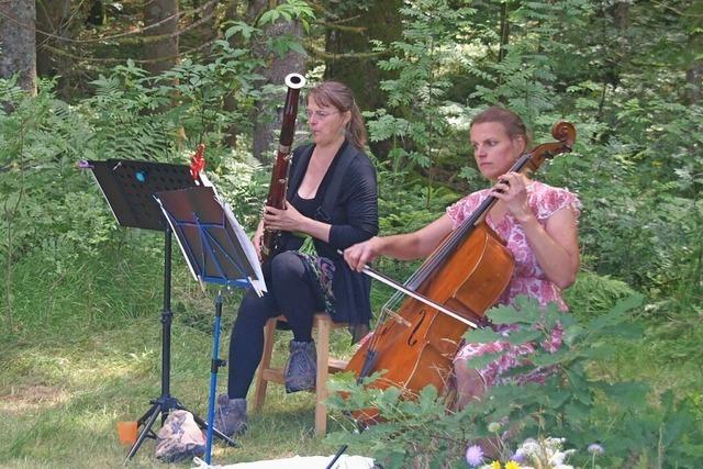 Natur und Kultur verbinden sich im Wald bei Wittenschwand