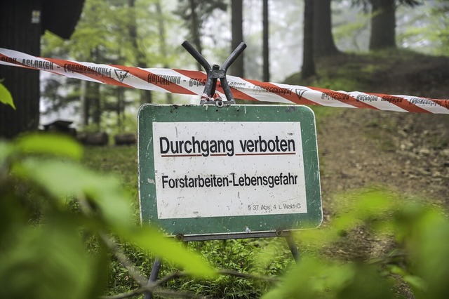 Keine ästhetische Aufräumaktion, sonde...ung sind die Mulcharbeiten des Forsts. | Foto: Schöning (Imago) Keine ästhetische Aufräumaktion, sonde...ung sind die Mulcharbeiten des Forsts. | Foto: Schöning (Imago)