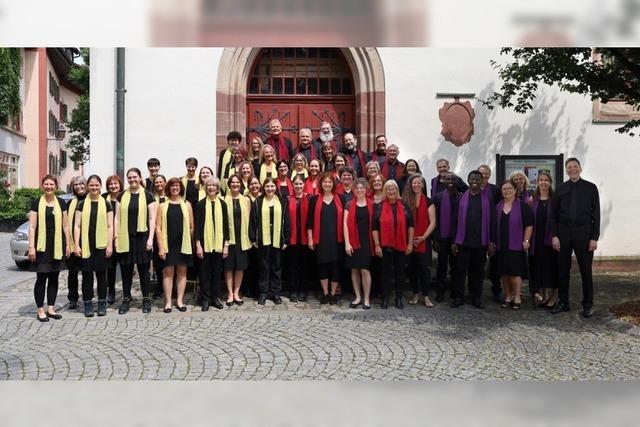 Gospel und Orgel erklingen bei Sommerfestival in den Schopfheimer Kirchen