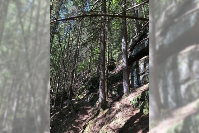 2. Globetrotter Wandertage Schwarzwald: Wanderung „Das atemberaubende Sulzkar“