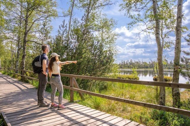 2. Globetrotter Wandertage Schwarzwald: Wanderung „Das Wildseemoor und seine Geheimnisse“