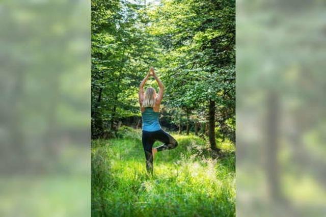 2. Globetrotter Wandertage: Workshop „Hatha-Yoga Fortgeschrittene“