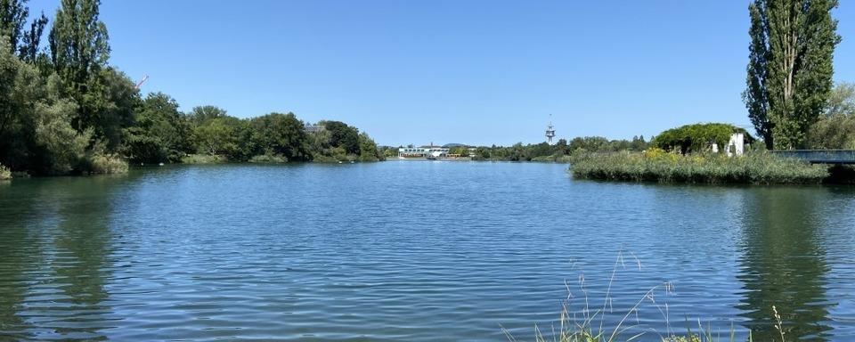 Polizei nimmt Spanner fest, der im Freiburger Seepark nackte Badegste fotografiert