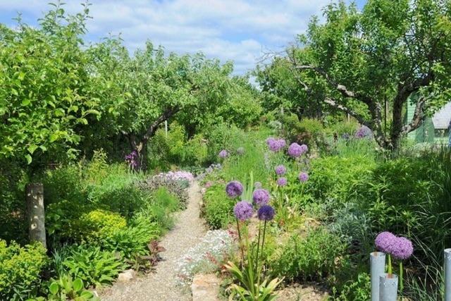Verstecktes Gartenjuwel in Freiburg-Lehen
