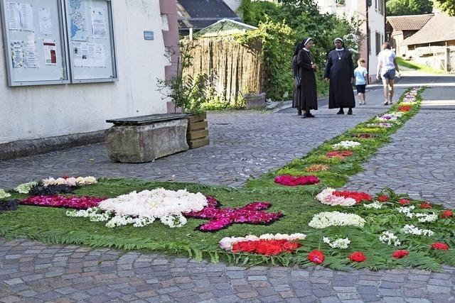 Prozession auf Farnen und Blten