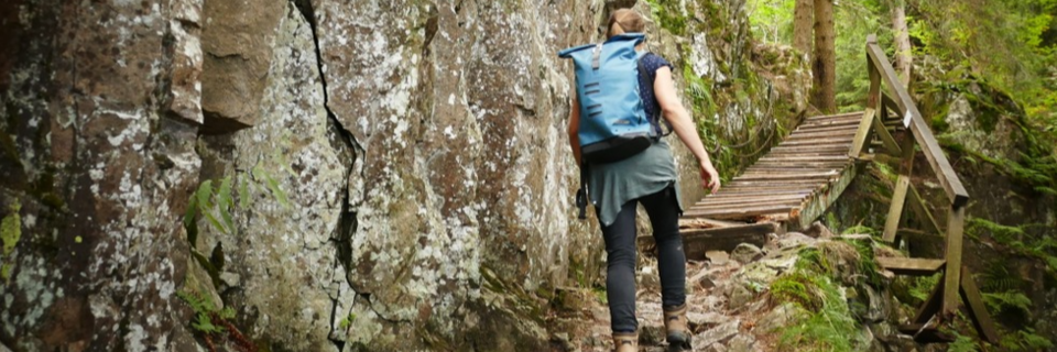 Wandern in Südbaden: Vom Themenpfad bis zur Nachtwanderung