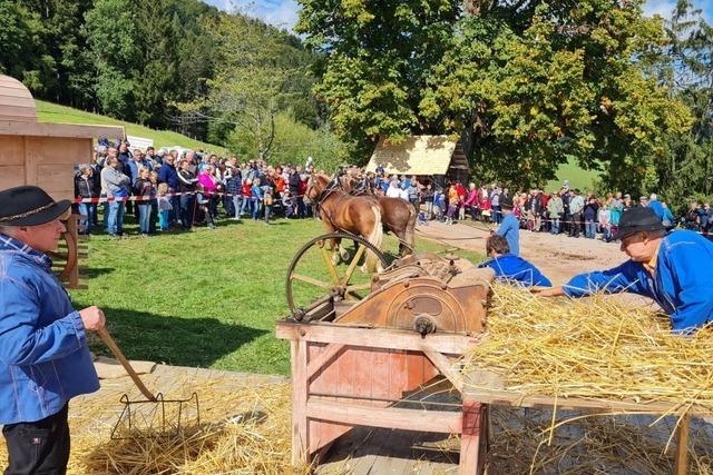Die rtlichen Vereine stemmen das Raicher Brauchtumsfest gemeinsam