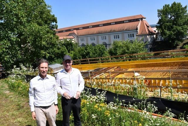 Neue Zufahrt zum Naturenergie-Campus in Wyhlen  ist bald fertig