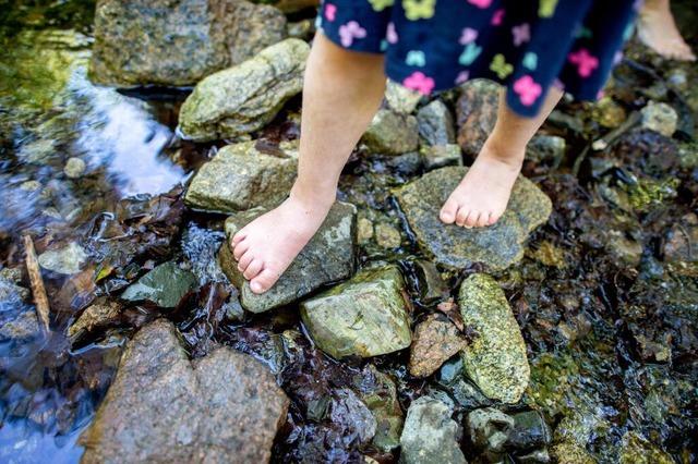 Gersbach entscheidet sich gegen Natur-Erlebnisplatz fr Kinder