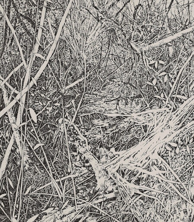 Emmanuel Henninger lsst sich in der Natur zu seinen Zeichnungen inspirieren.  | Foto:  Emmanuel Henninger, Mantenach 1