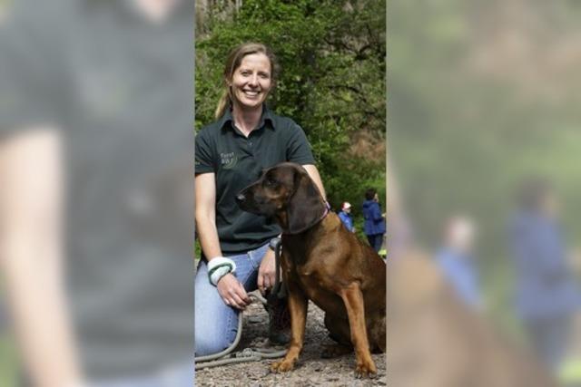 Freilaufende Hunde sind ein Problem