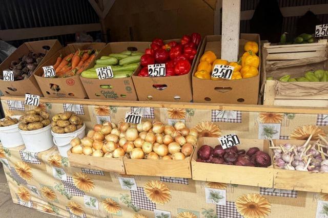 Kartoffeln als Luxus? Russlands Wirtschaft hat Probleme