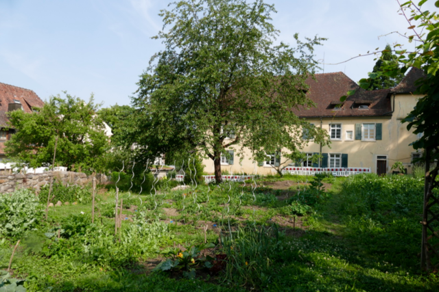 Sanierungsarbeiten am Staufener Stadtschloss sollen endlich starten
