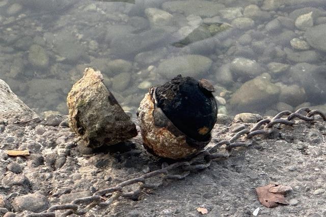 Schwimmer findet Sprengkrper im Basler Rhein – und trgt ihn ans Ufer