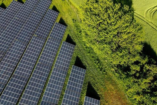 Rund 370 Hektar möchte der Regionalverband im Kreis Lörrach für Solarparks sichern