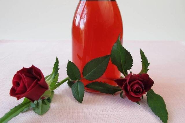 Leuchtend und zuckers: Rosenbltensirup zum Selbermachen