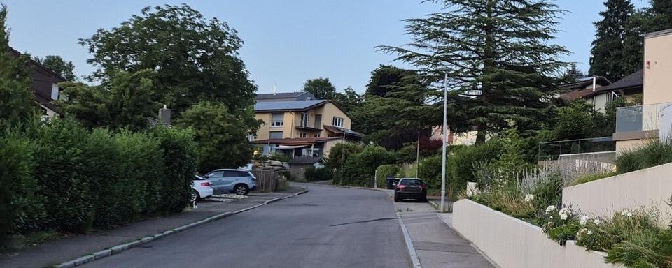Mutmalicher Femizid in Mllheim: Was bislang bekannt ist