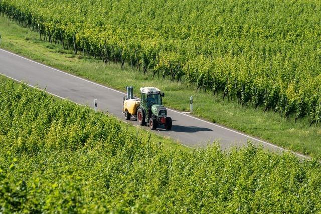 Landesagrarminister Hauk: Hherer Mindestlohn kann Bauern Existenz kosten