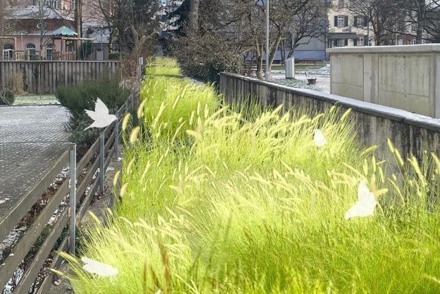 Schopfheimer Wuhr-Kanal knnte eine grne  Lebensader ohne Wasser werden