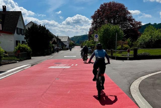 Stadtradeln 2024 im Landkreis Lrrach bringt ber 3000 Radler auf die Strecke