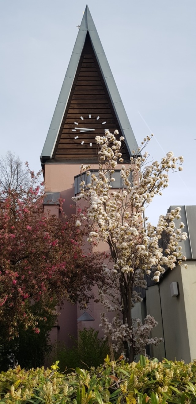 Die katholische Kirche in Buchholz | Foto: Gerhard Walser (Archiv) Die katholische Kirche in Buchholz | Foto: Gerhard Walser (Archiv)