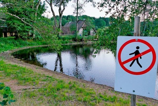 Bis zur Sanierung des Schlüchtsees bei Grafenhausen wird es noch dauern