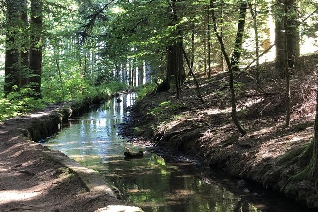 Der Tourismus legt in Herrischried zu – und trotz damit dem Hotzenwald-Trend