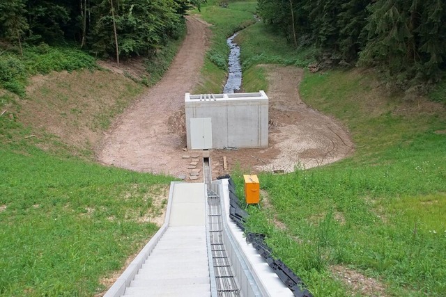 Die Mitglieder des Zweckverbands Hochw...d die Schäden vom jüngsten Hochwasser. | Foto: Ilona Hüge Die Mitglieder des Zweckverbands Hochw...d die Schäden vom jüngsten Hochwasser. | Foto: Ilona Hüge