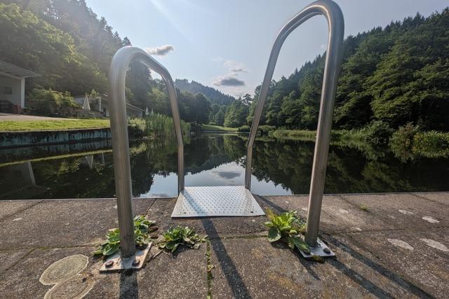 Schwimmen im Biotop: Schne Naturbder in Sdbaden