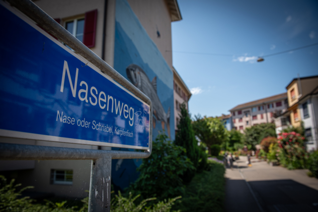Die gruselige Kopie eines Mordes in Basel: Wie konnte das passieren?