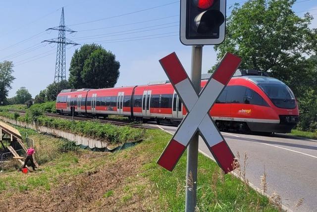 Lastwagen fhrt Bahnschranke zwischen Herten und Wyhlen ab