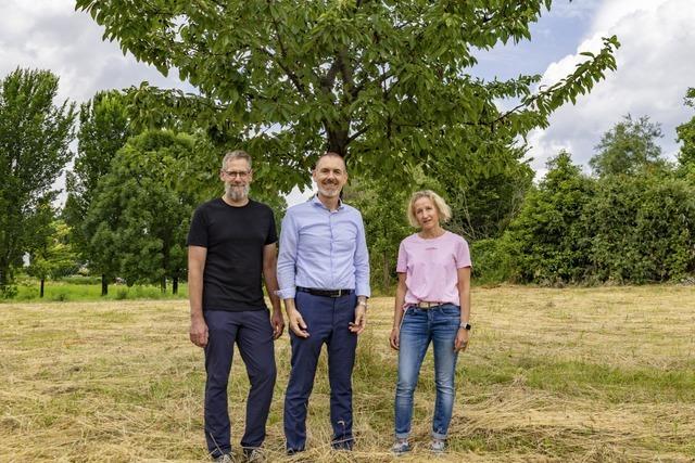 Ein gelbes Band soll in Lrrach Bio-Qualitt direkt vom Baum zum Nulltarif bieten