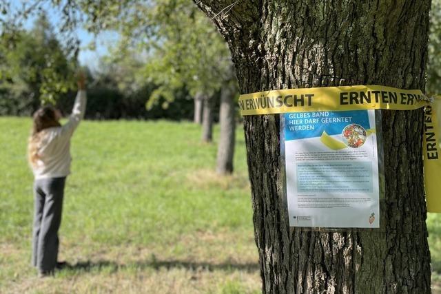 Beim legalen Mundraub ist Fairness angesagt