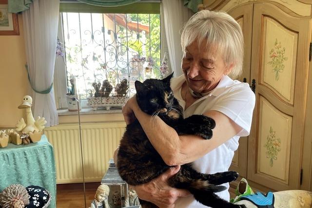 Rheinfelder Tierheim ist am Limit:  das stille Leid der ausgesetzten Tiere
