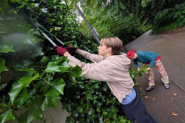 "Wohnen fr Hilfe" in Freiburg: Frs Polieren des Familiensilbers gibt es ein Dach ber dem Kopf