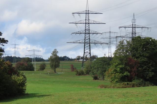 Gemeinde Rickenbach untersttzt alternative Stromtrasse des Brgervereins Egg