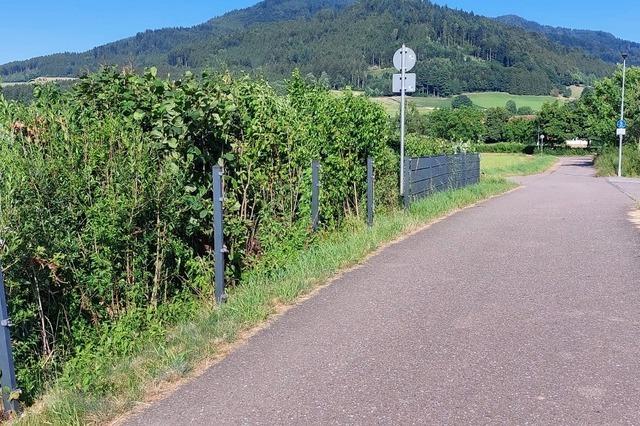 Unbekannte klauen einen Zaun in Gutach