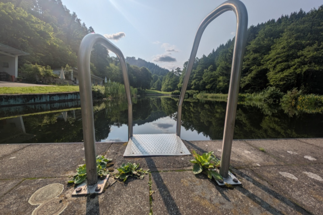 Schne Naturbder in Sdbaden: Schwimmen im Biotop